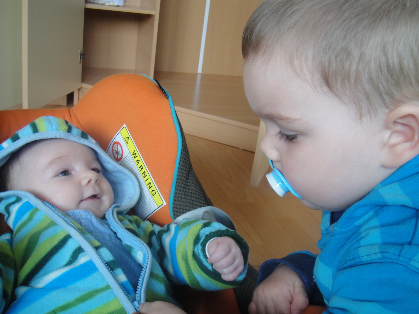 [DSC09181_resize.JPG]