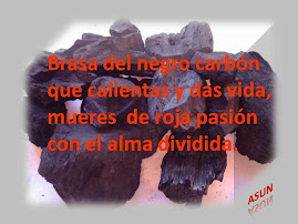 BRASA DEL NEGRO CARBÓN