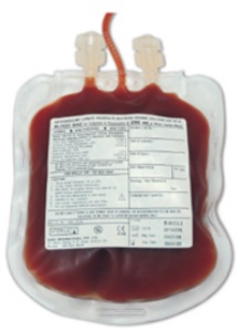 [SacodeSangue1.jpg]