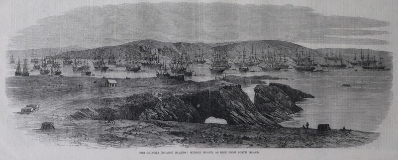[Chincha4.jpg]