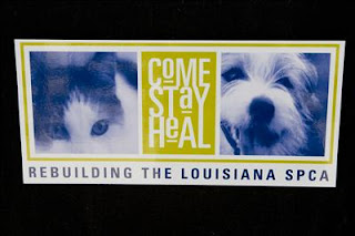 Come Stay Heal at Louisiana SPCA
