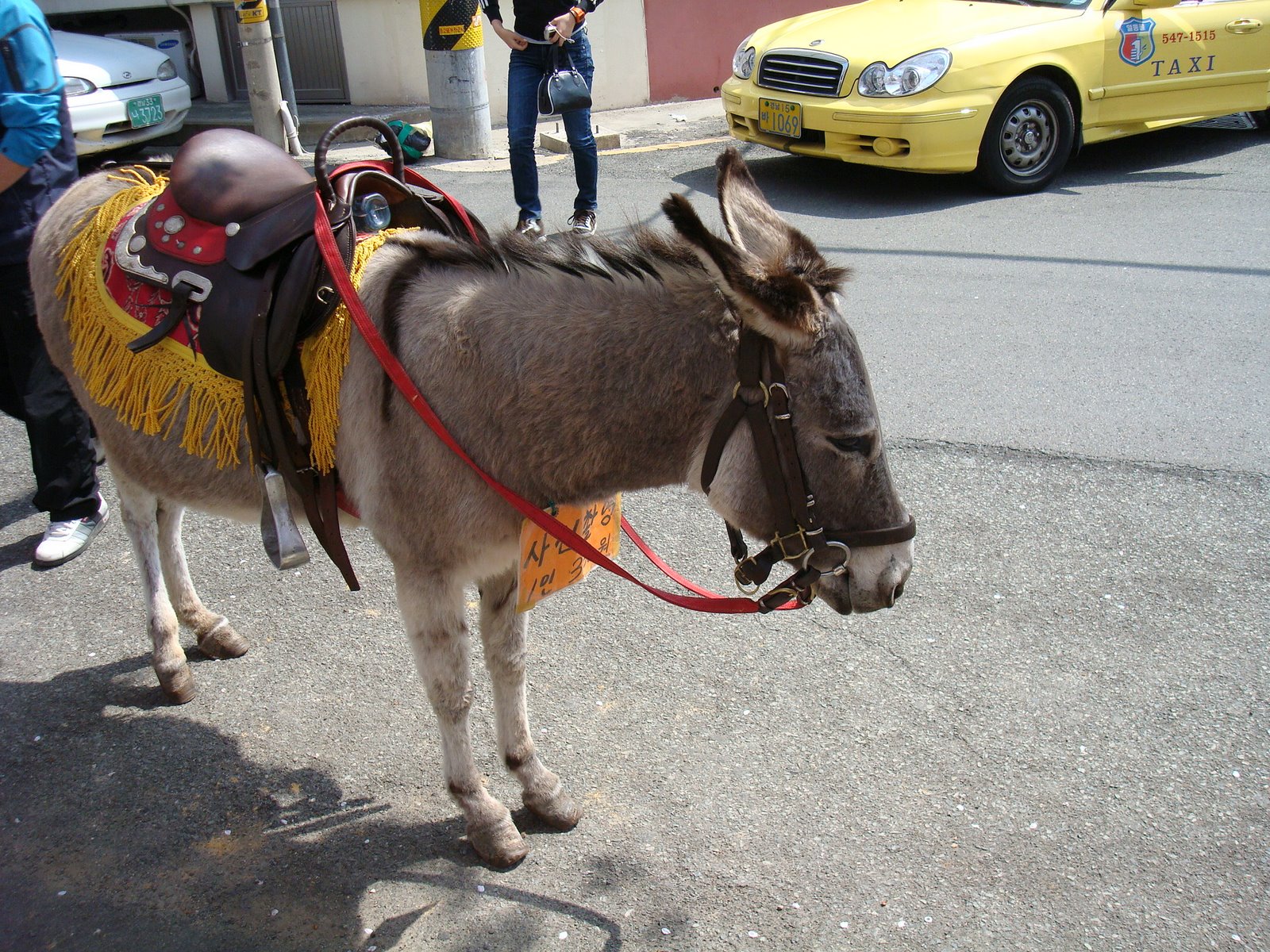 [DSC00893.JPG]