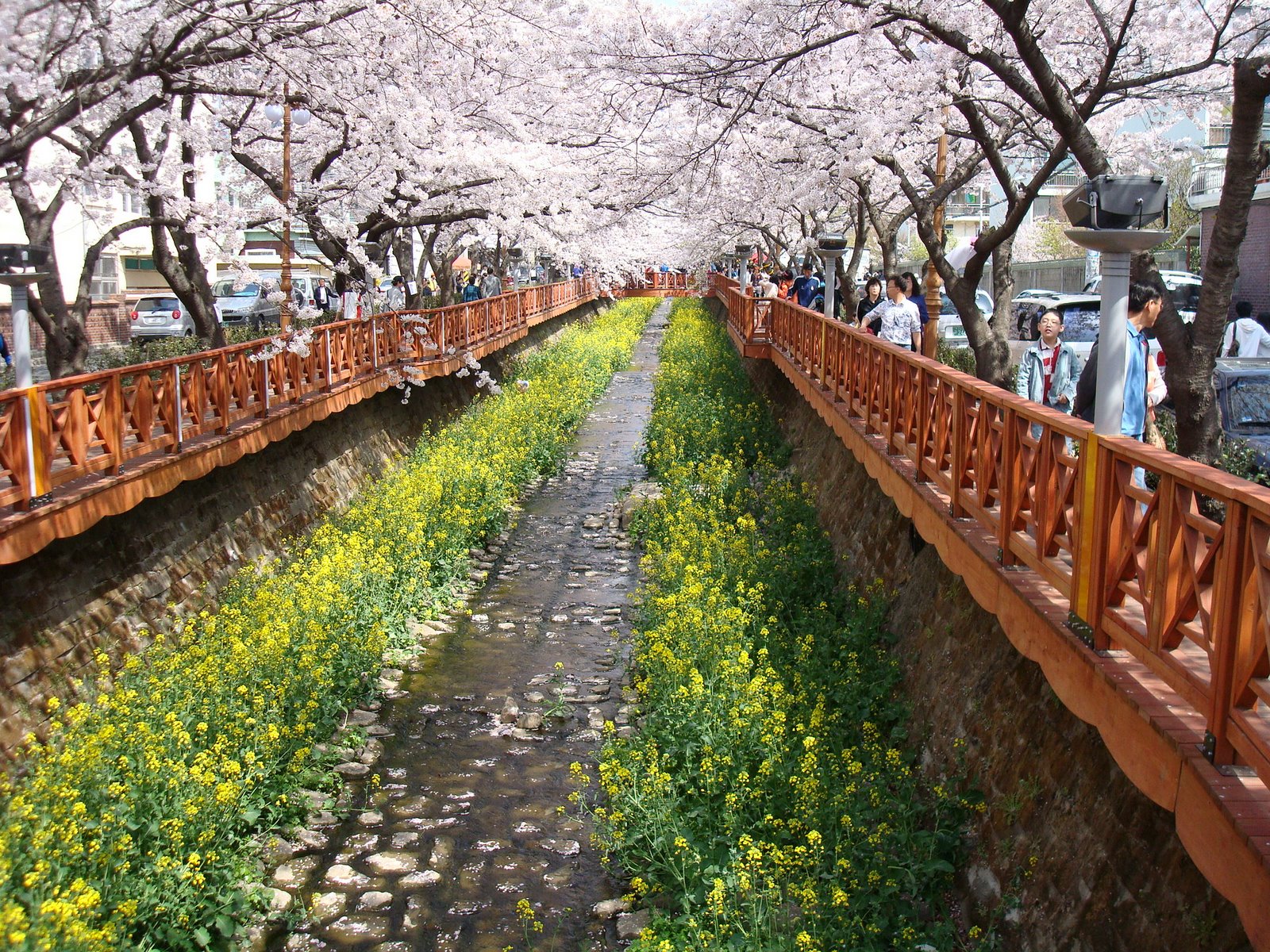 [DSC00895.JPG]
