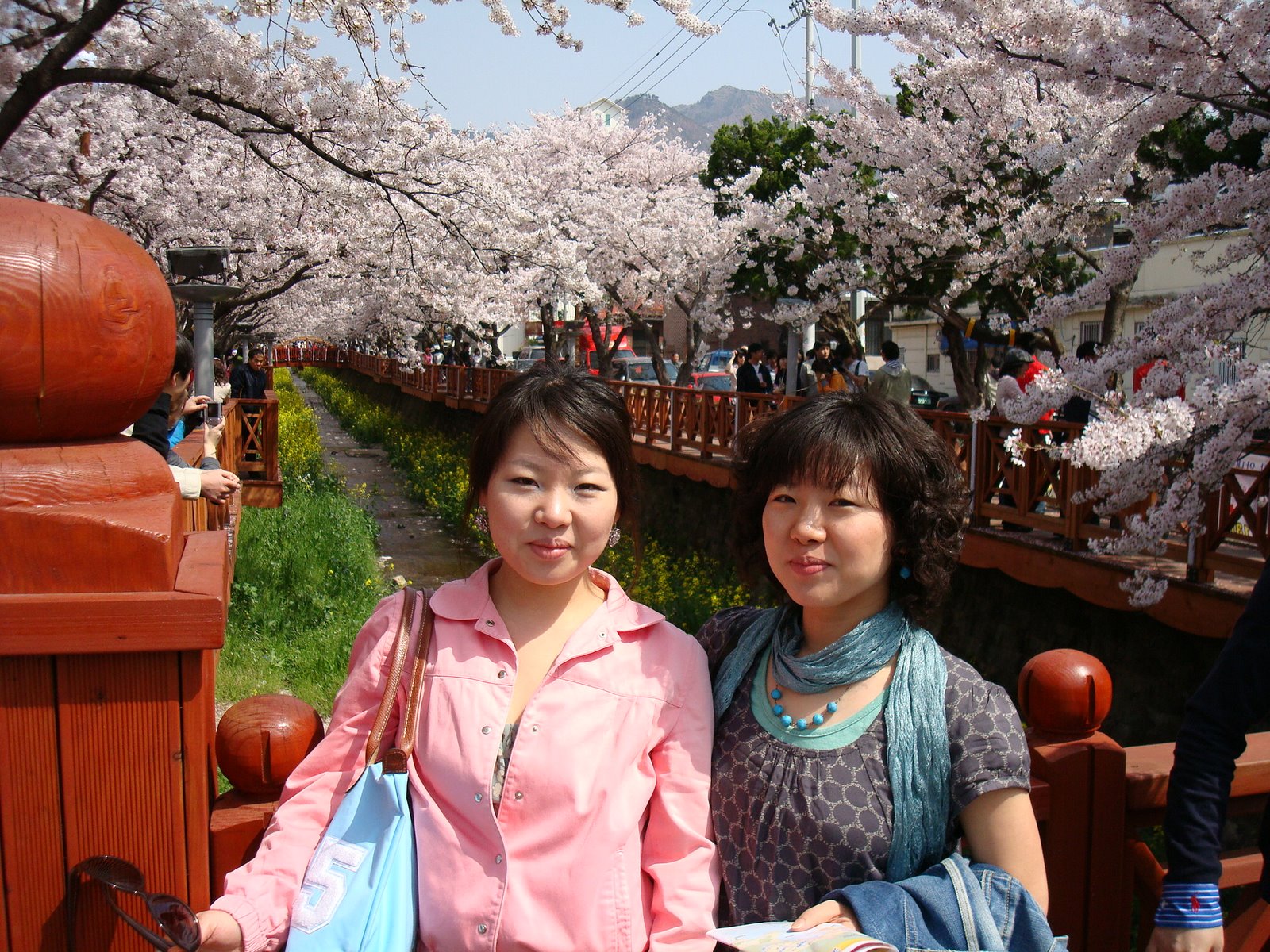 [DSC00888.JPG]