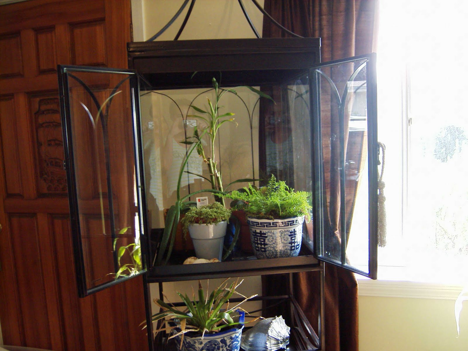 bricannabrac Victorian Terrariums