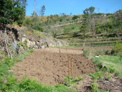 [boucha_longa_terra.jpg]