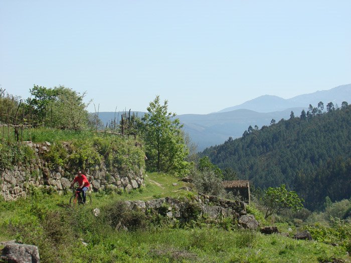 [DSC08314.jpg]