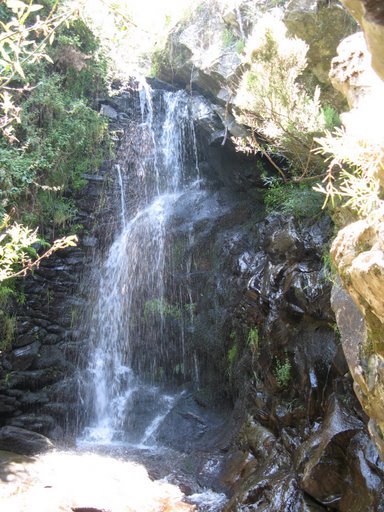 [IMG_0653.JPG]