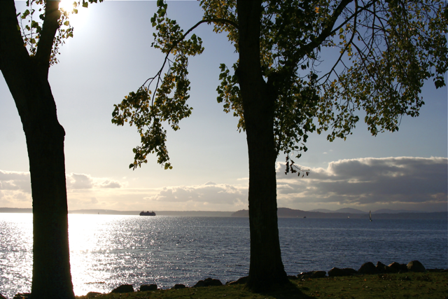 [seattle-waterfront.png]