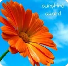 My Blog Awards