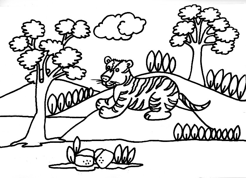 Nuevas Laminas Didacticas Dibujos Para Imprimir Y Colorear Gratuitos Drawings To Color For Kids Dibujo Para Colorear De Un Tigre En La Selva
