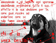 Diario Di Unanonima Gattara Come Rimuovere Una Zecca