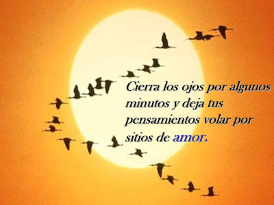 Resultado de imagen para vuelo del alma