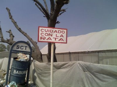 rata.jpg