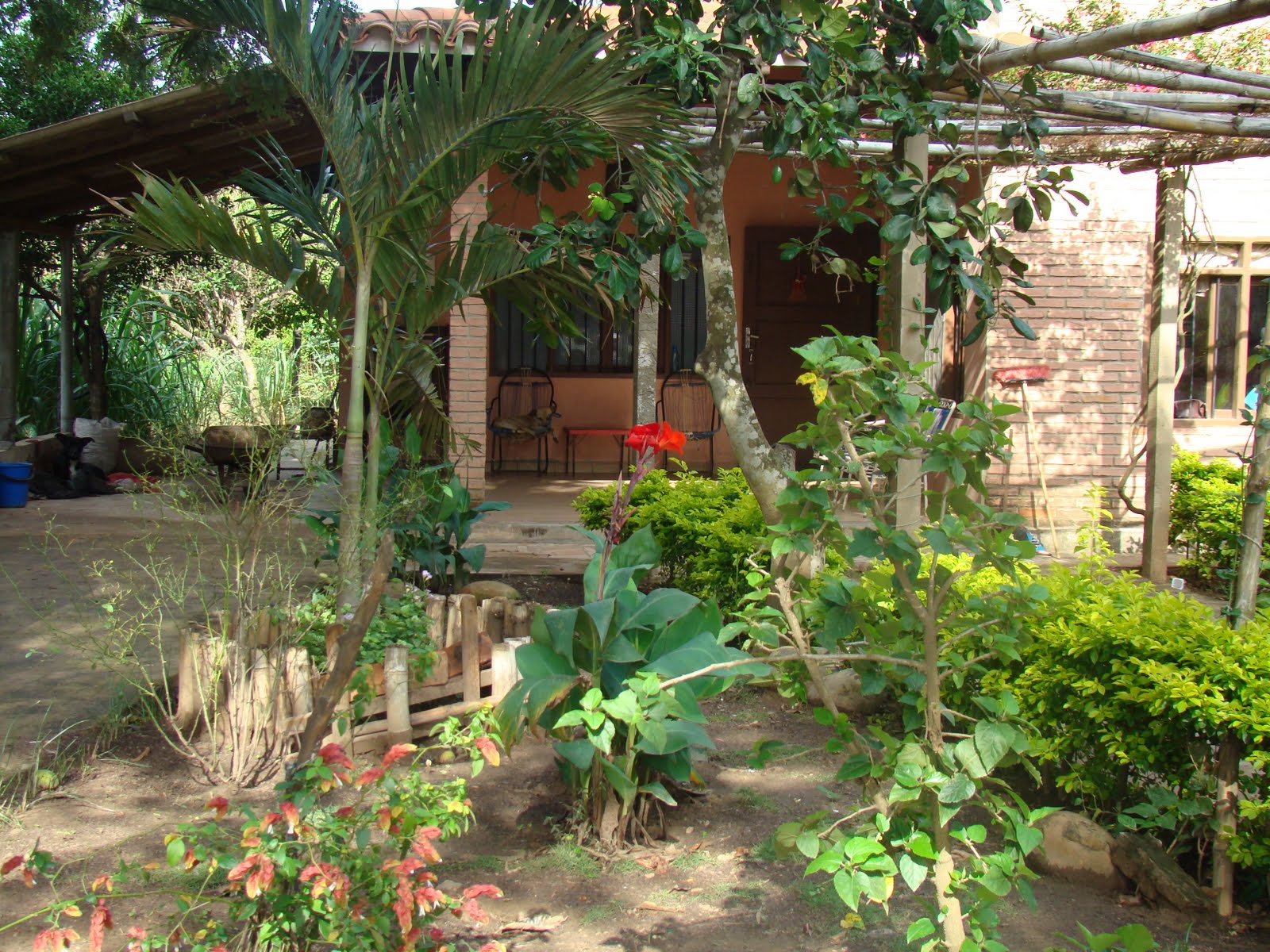 [DSC08413.JPG]