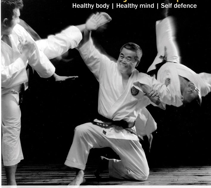 Diary of a Martial Artist New Shorinji Kempo ad