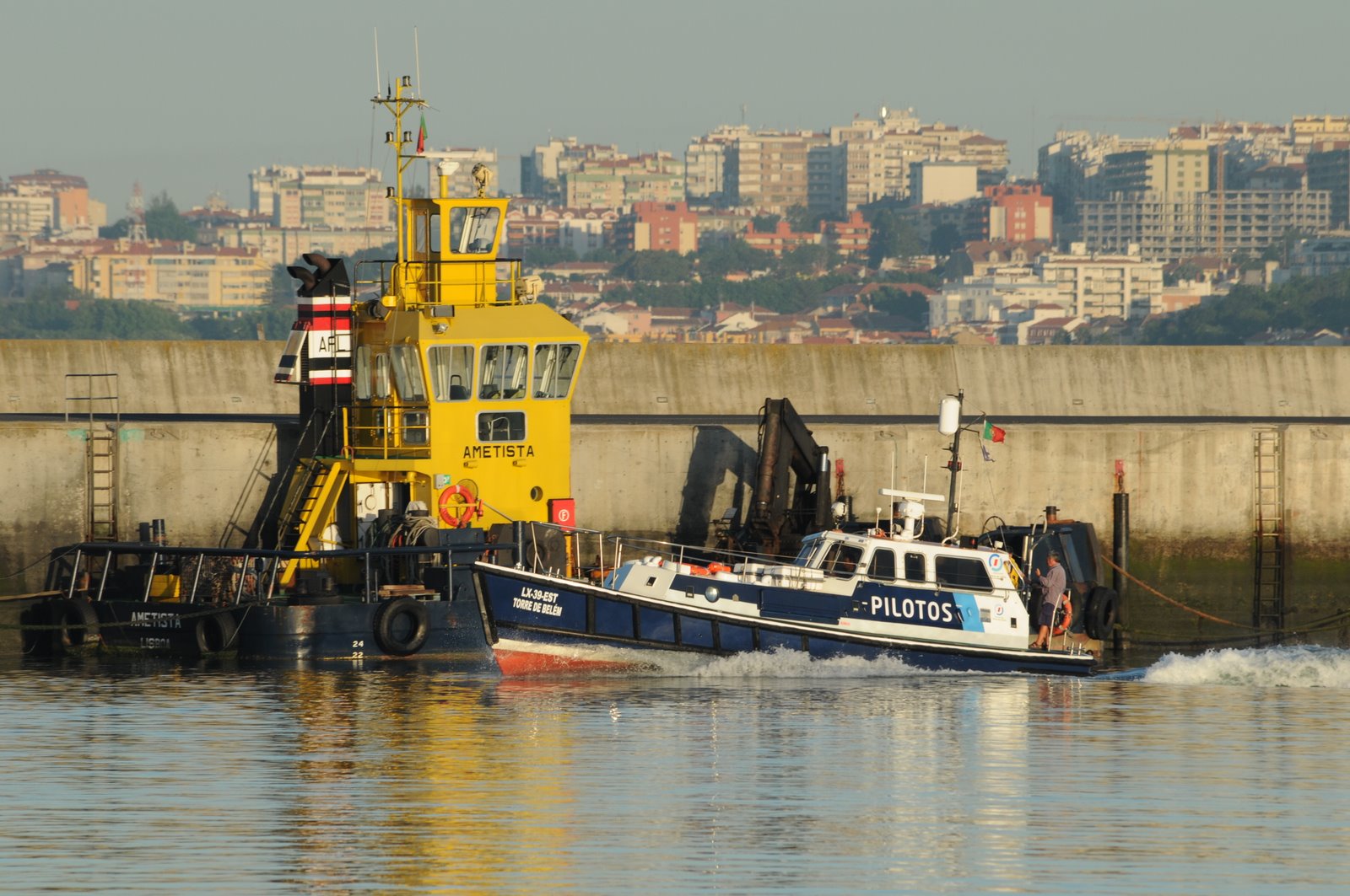 [DSC_2772.JPG]