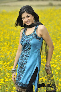 Poonam Kaur Hot Photos