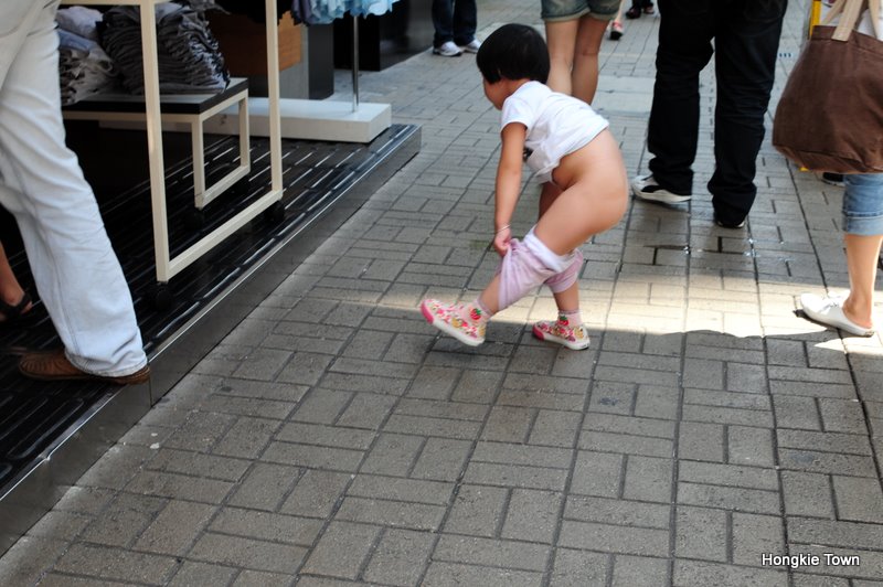 [DSC_2891.JPG]