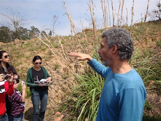 Pesquisa de campo em Itu/SP com orientador Bitcho