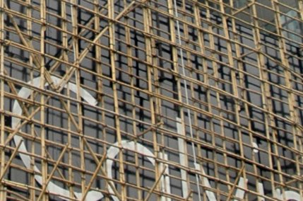 [bamboo_closeup.jpg]