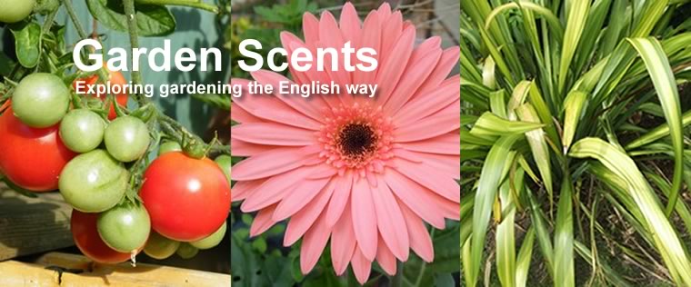 Garden Scents