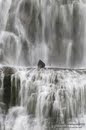Iceland Waterfall Rock Wallpaper