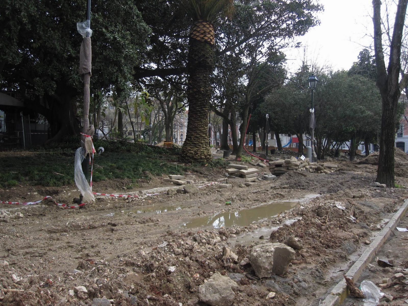 [Resize+of+IMG_0230.JPG]