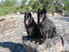 Fiona(21.3.2000-15.1.2010) ja Carlos(24.12.1998-27.1.2009)