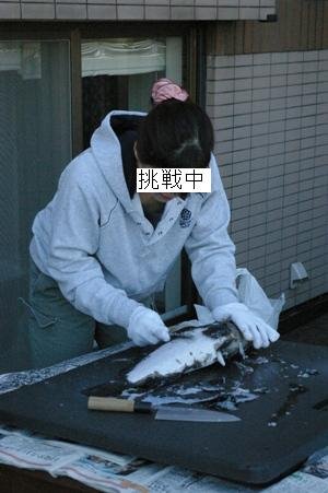 [13.JPG]