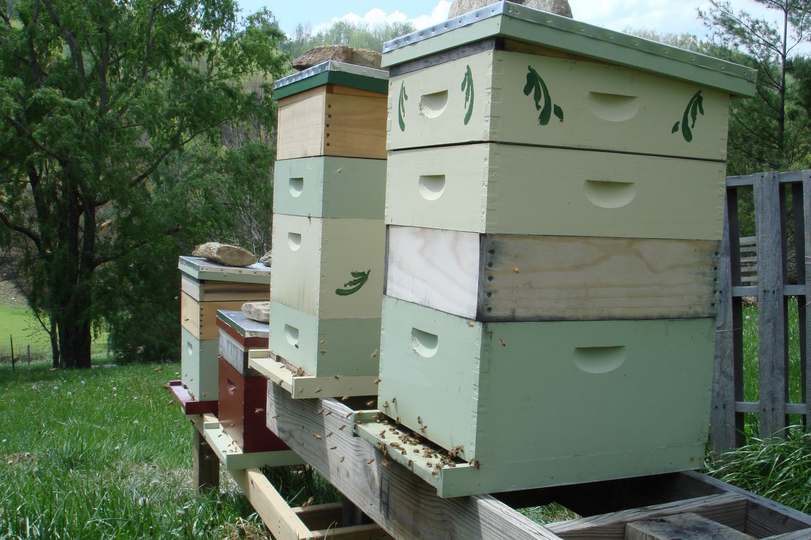 Watauga County Cooperative Extension Center Get Hooked on