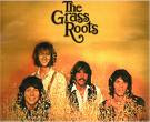 The Grass Roots