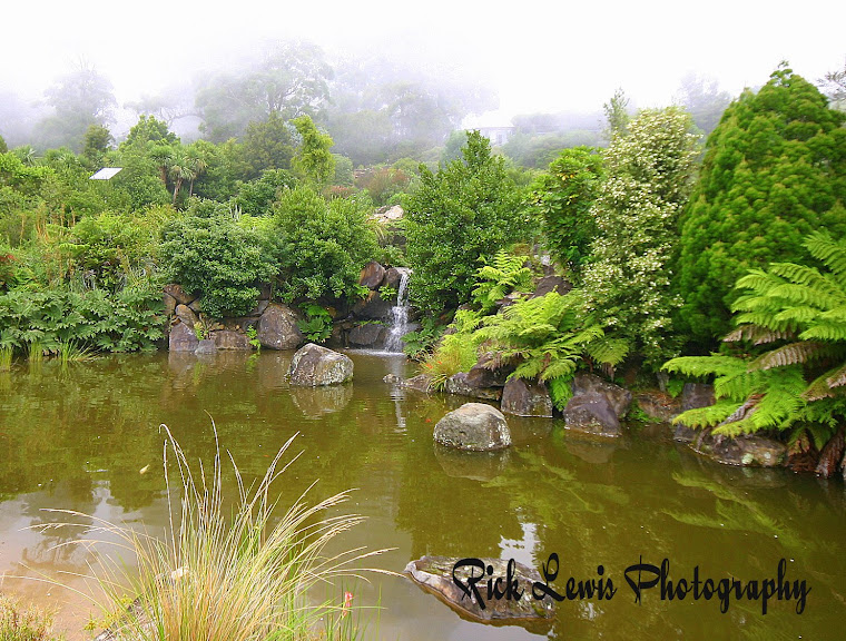 Water Garden