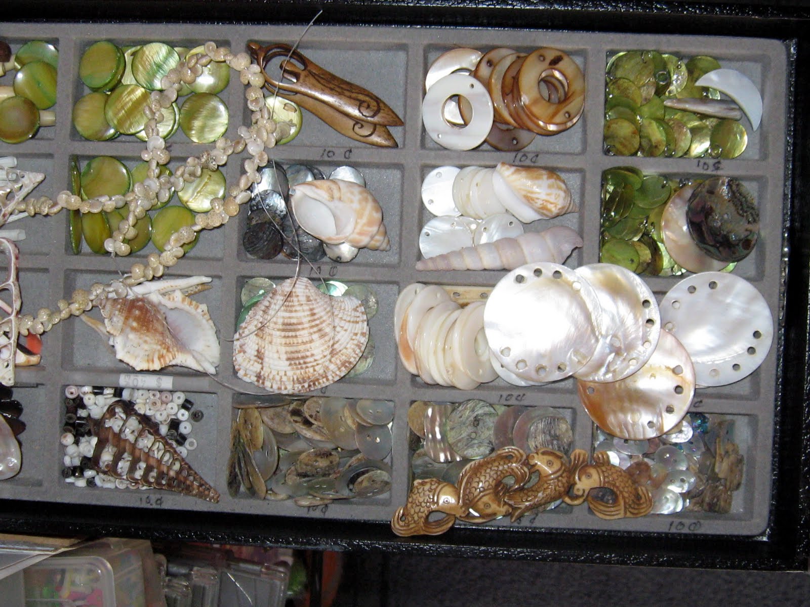 [Shells.JPG]