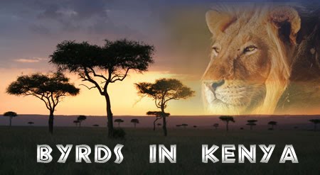 Byrds in Kenya