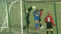 Bearzi-Pro Fagagna