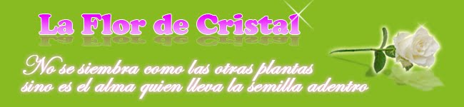 La Flor de Cristal