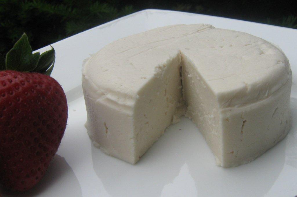 the happy raw kitchen Raw Vegan Cheese