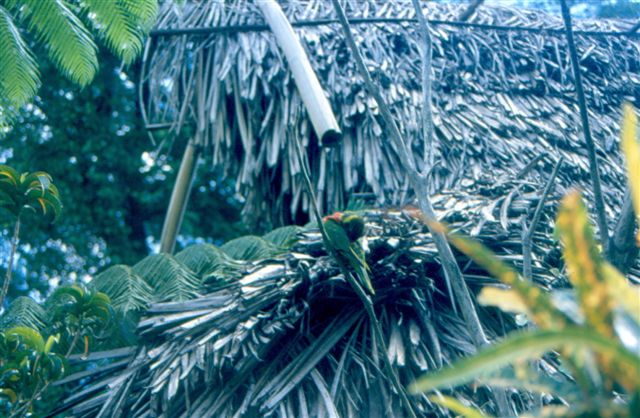 Bucher In Meiner Hand September 2019