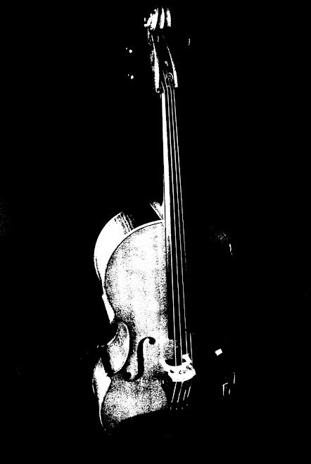 Violonchelo