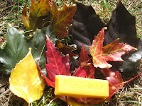 Beeswax Fall Project