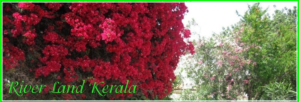 River Land Kerala