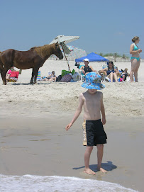 Tyler on beach with pony behind him