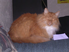 Tate