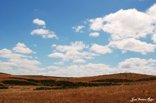 Alentejo-Campo Branco