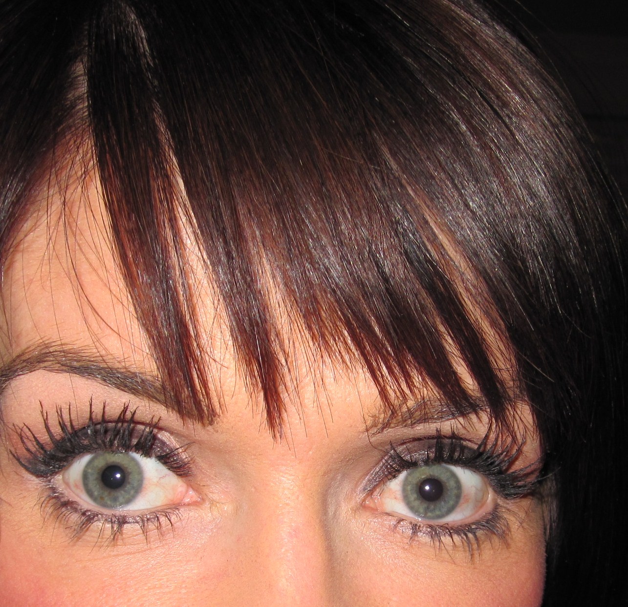 Lashblast Fusion Review