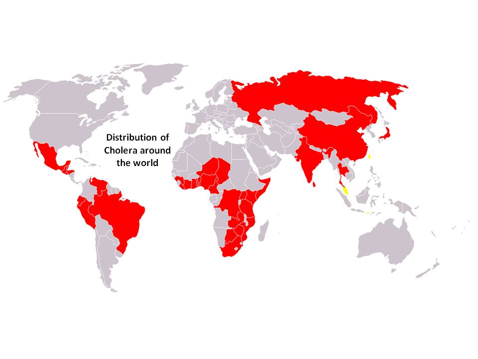 cholera distribution