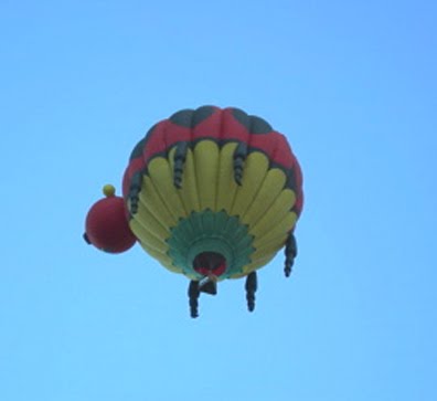 [balloon+festival+9.jpg]