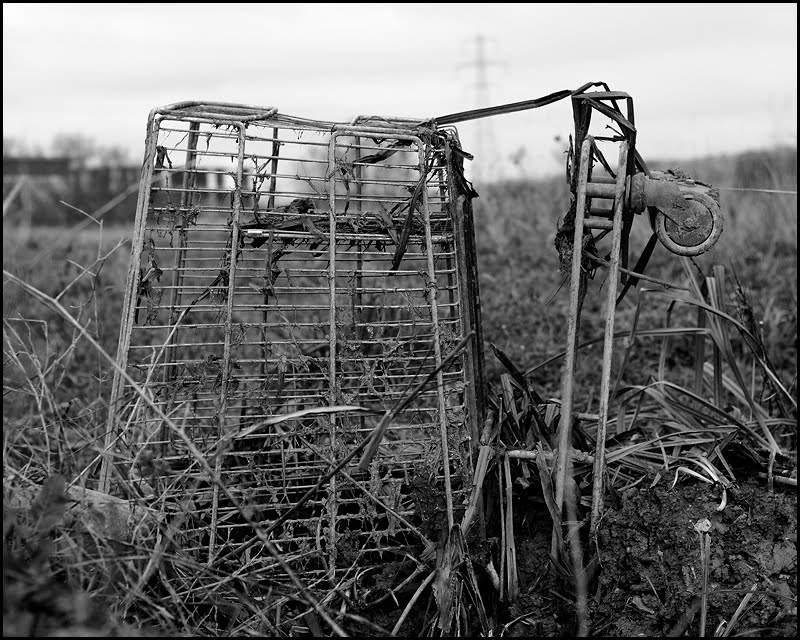 [trolley.jpg]