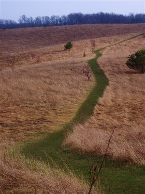 A desire path (or desire line) is a path developed by erosion caused by ... A desire path (or desire line) is a path developed by erosion caused by ...